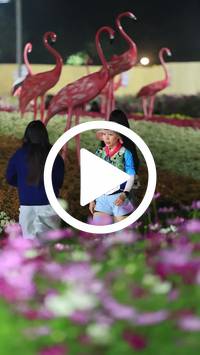 BIB:  <button type="button" onclick="openModal(27591001)" class="btn btn-primary btn-sm float-right" data-toggle="modal" data-target=".modal-high-quality">
                <i class="fa fa-download"></i> Download
                </button>